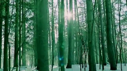 Killjoys - staffel 4 Teaser (2) OV