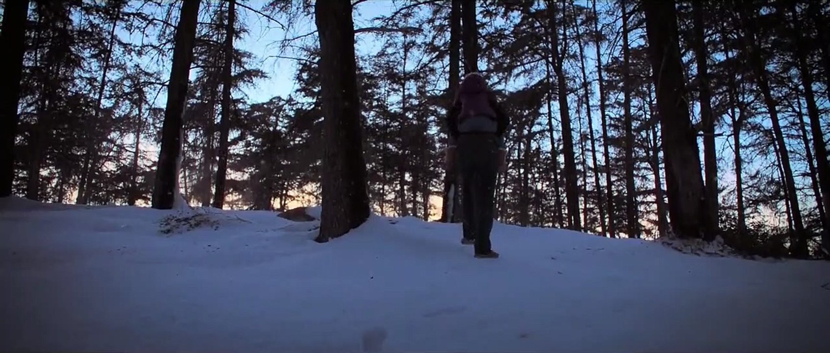 Destroyer Trailer DF