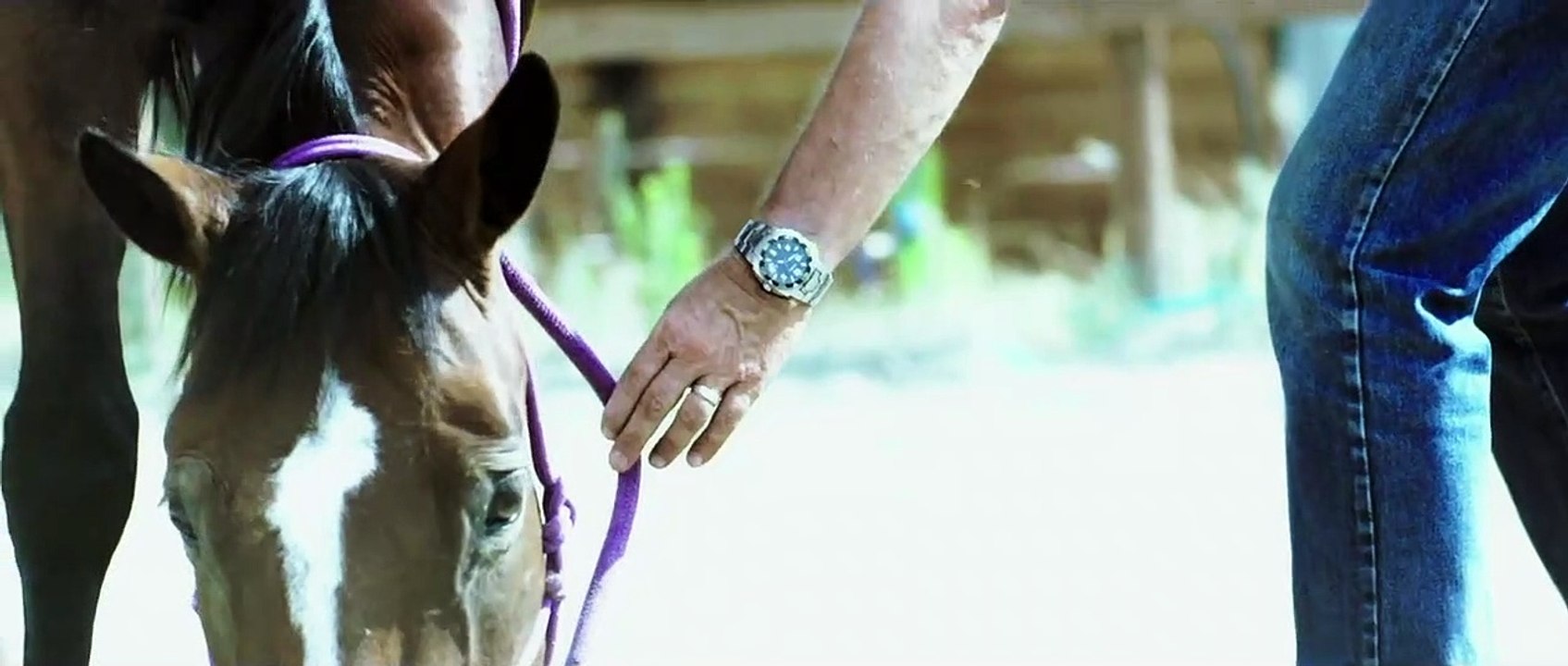 Edhel - Das Geheimnis des Elfenwaldes Trailer DF