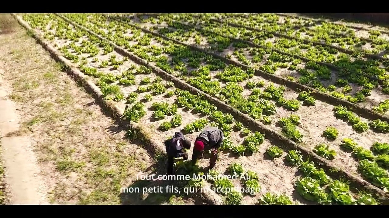 La Révolution est là Trailer OV
