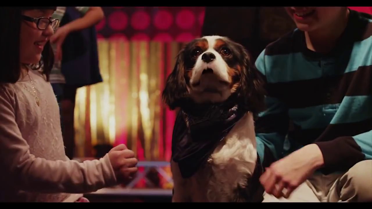 Pop Star Puppy - VF
