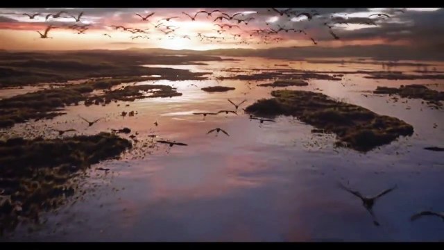 Der König der Löwen Teaser-Spot (3) OV