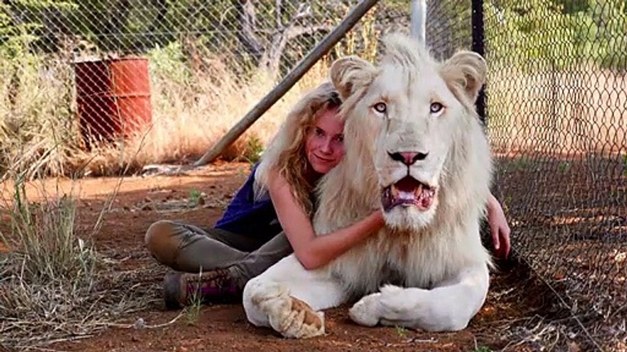 Mia und der weiße Löwe Videoclip DF