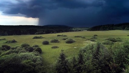 Die Wiese - Ein Paradies nebenan Trailer (2) DF