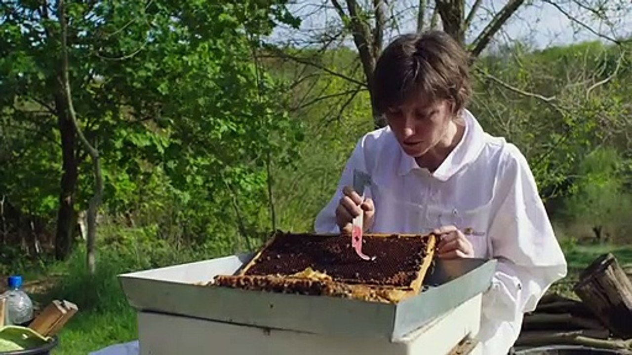Von Bienen und Blumen Trailer DF