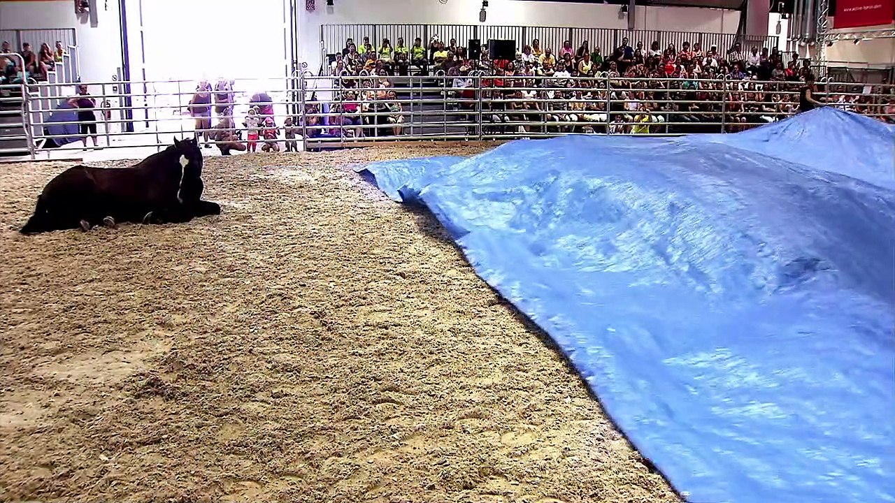 Peter Pfister - der Pferdemann Trailer DF