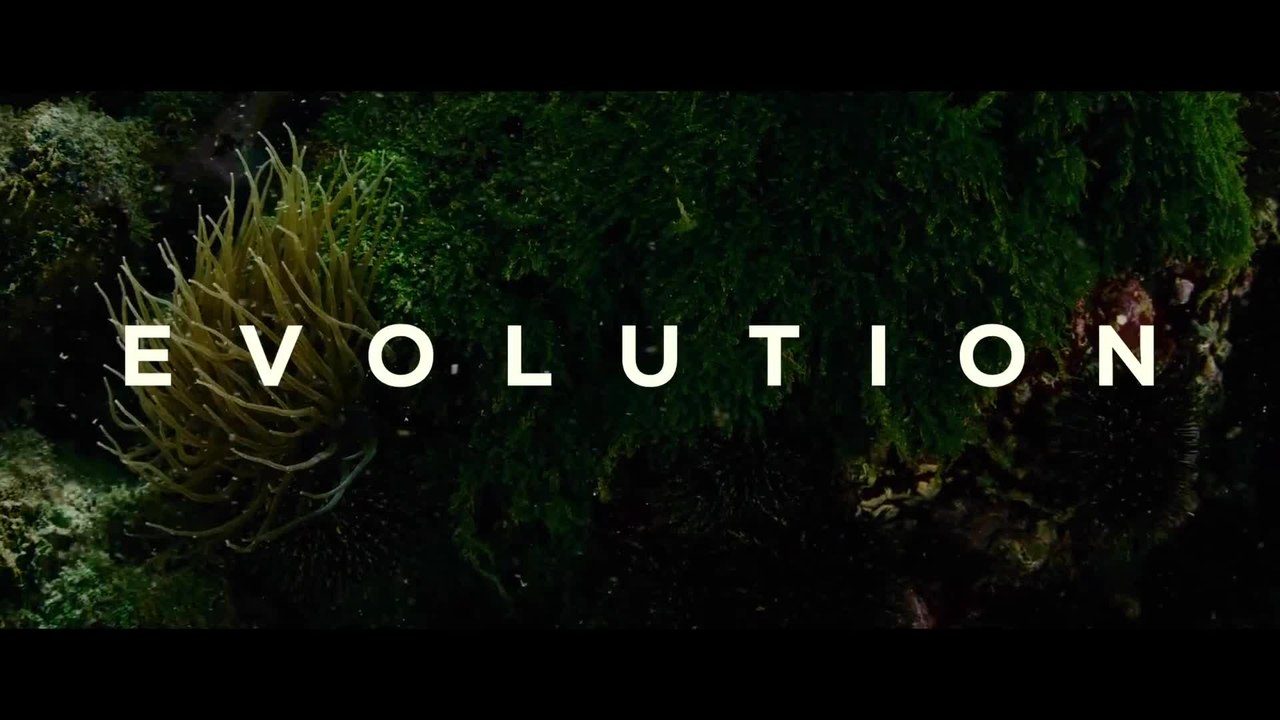 Evolution (2016) - VF