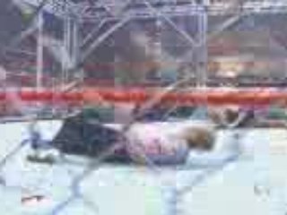 WWE - Jeff Hardy's Swanton Bomb Off Cage