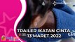 Video Trailer Ikatan Cinta Minggu 13 Maret 2022: Reyna Gembira Askara Putra Alfahri Pulang ke Rumah, Langsung Cium Keningnya