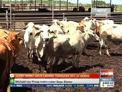 JCorp minat urus ladang ternakan NFC di Gemas