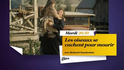 Les Oiseaux se cachent pour mourir