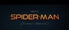 Spider-Man Homecoming VF