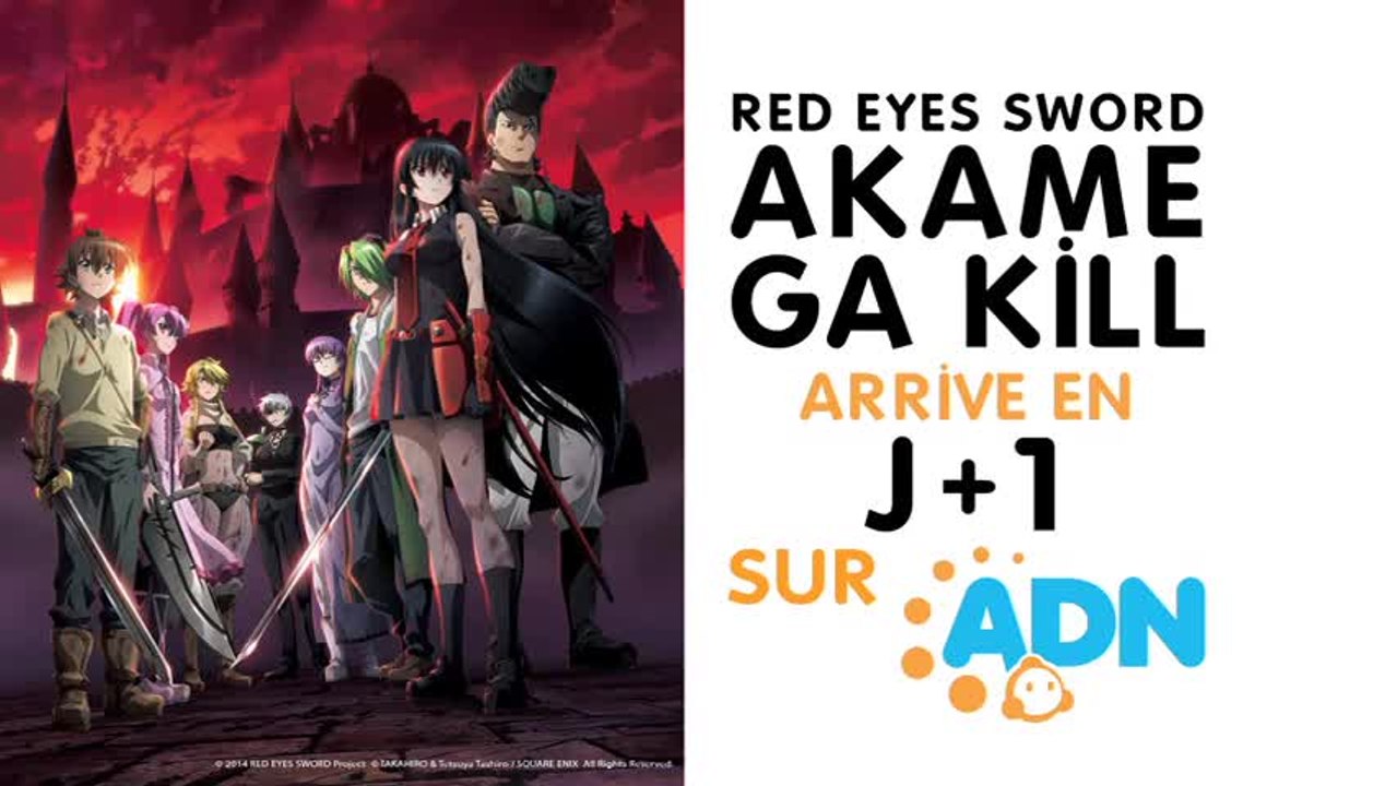 Red Eyes sword - VO