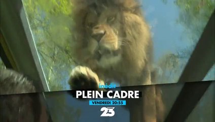 Plein cadre - zoo de thoiry - scandale gaspillage alimentaire - 07 07 17