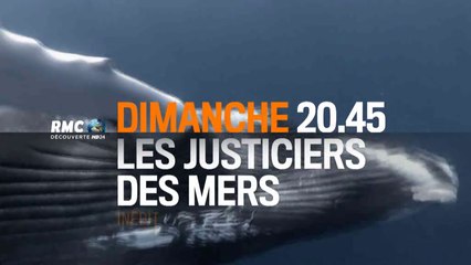 Les Justiciers des mers - Evacuation in extremis - 09/08/15