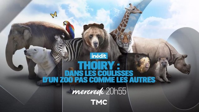 THOIRY, dans les coulisses d'un zoo pas comme les autres - 11 07 17 - TMC