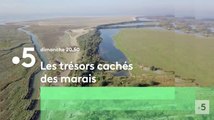 Les trésors cachés des marais (france 5) la bande-annonce