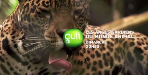 Les anges gardiens du monde animal - 09 07 17 - Gulli