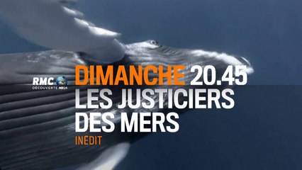 Les Justiciers des mers - 02/08/15