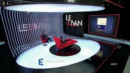 Le Divan de Marc Olivier Fogiel - Christine Angot - 27/06/17