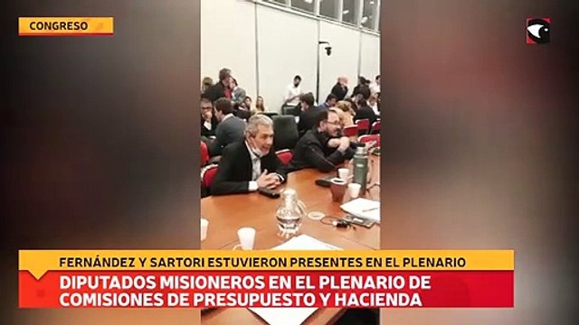 Diputados misioneros en el plenario de comisiones de Presupuesto y Hacienda