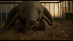 Dumbo : la bande-annonce VF