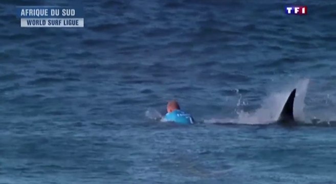 Le zapping du 20/07 : Un surfeur se fait attaquer par un requin lors d’une compétition