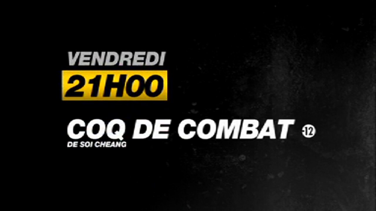 Coq de combat