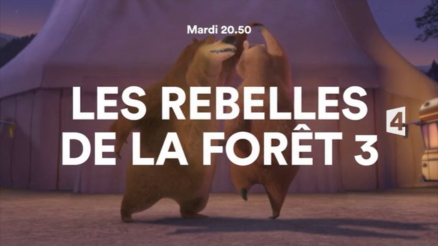 Les Rebelles de la forêt 3