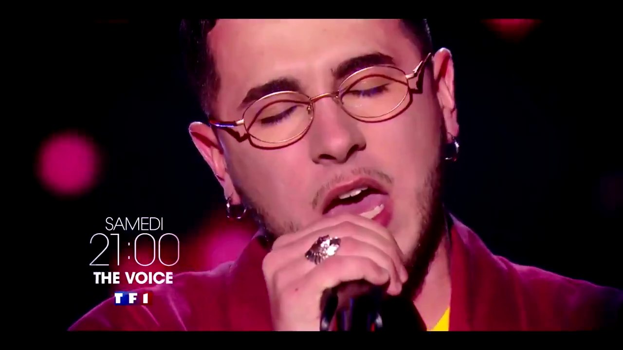 The voice (TF1) : 4e soirée d'audition