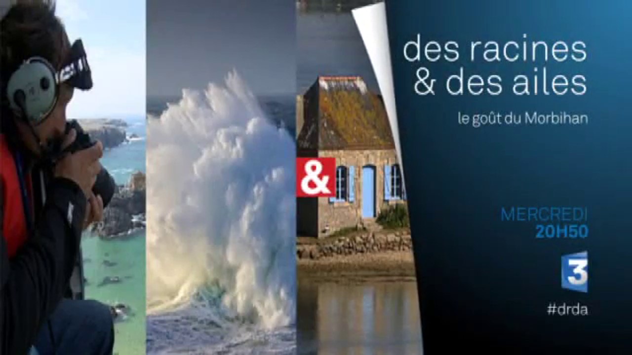 Des Racines et des ailes - Le goût du Morbihan - 22/07/15