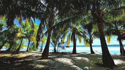 Travelling Music Video