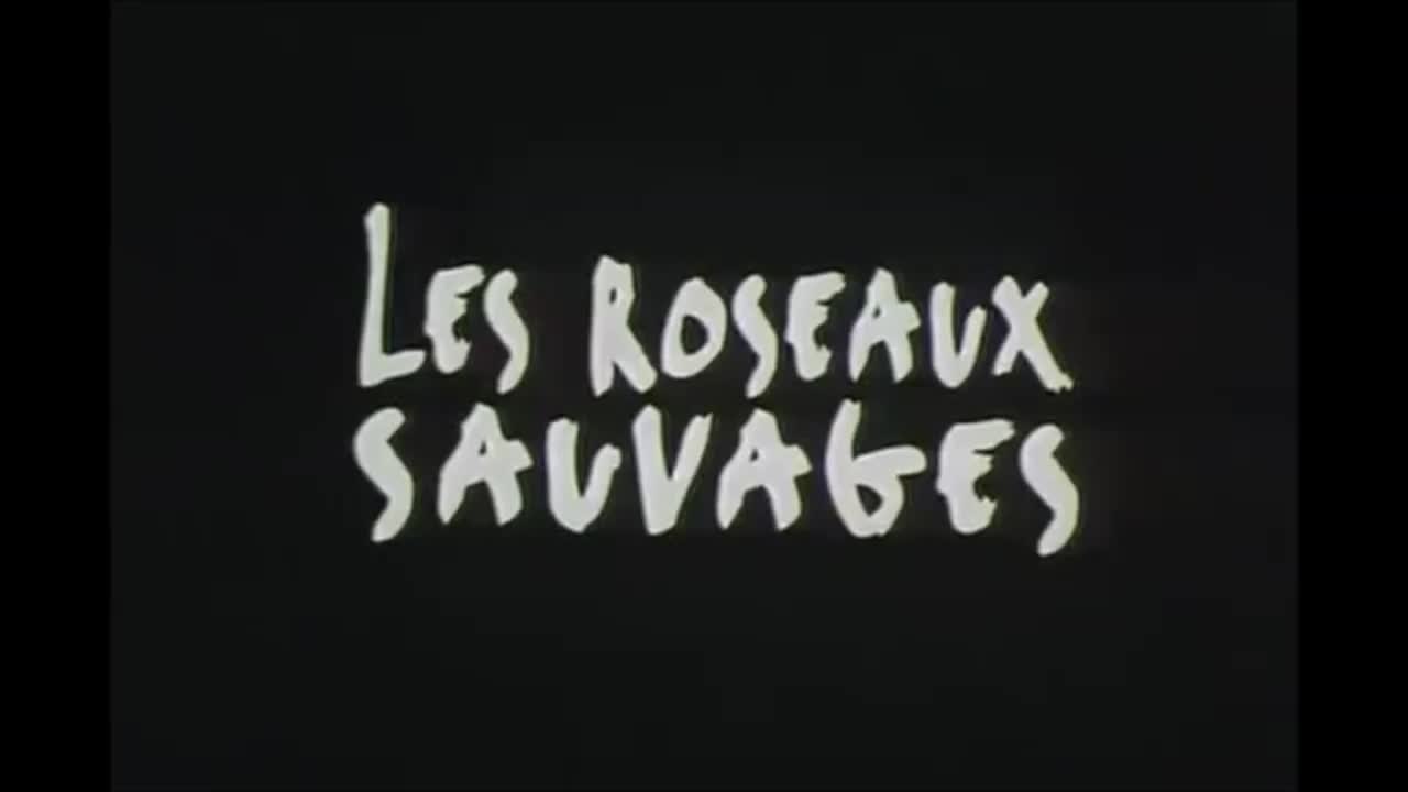 Les Roseaux sauvages - VF