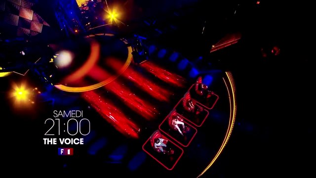The Voice (TF1) : 7e soirée d'audition
