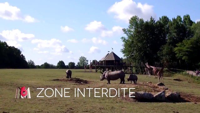 Zone interdite (M6) : Naissances extraordinaires et retours dans la jungle