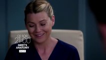 Grey's anatomy - La fin d'un rêve - s14ep19 - tf1 - 23 05 17