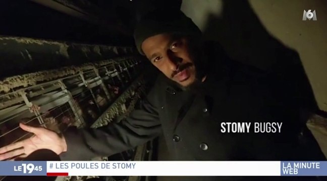 Zapping du 21/02 : Stomy Bugsy vole au secours des poules pondeuses de batterie