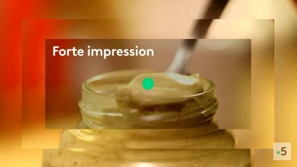 La moutarde nous monte au nez (France 5) la bande-annonce