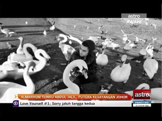 Almarhum Tunku Abdul Jalil, putera kesayangan Johor