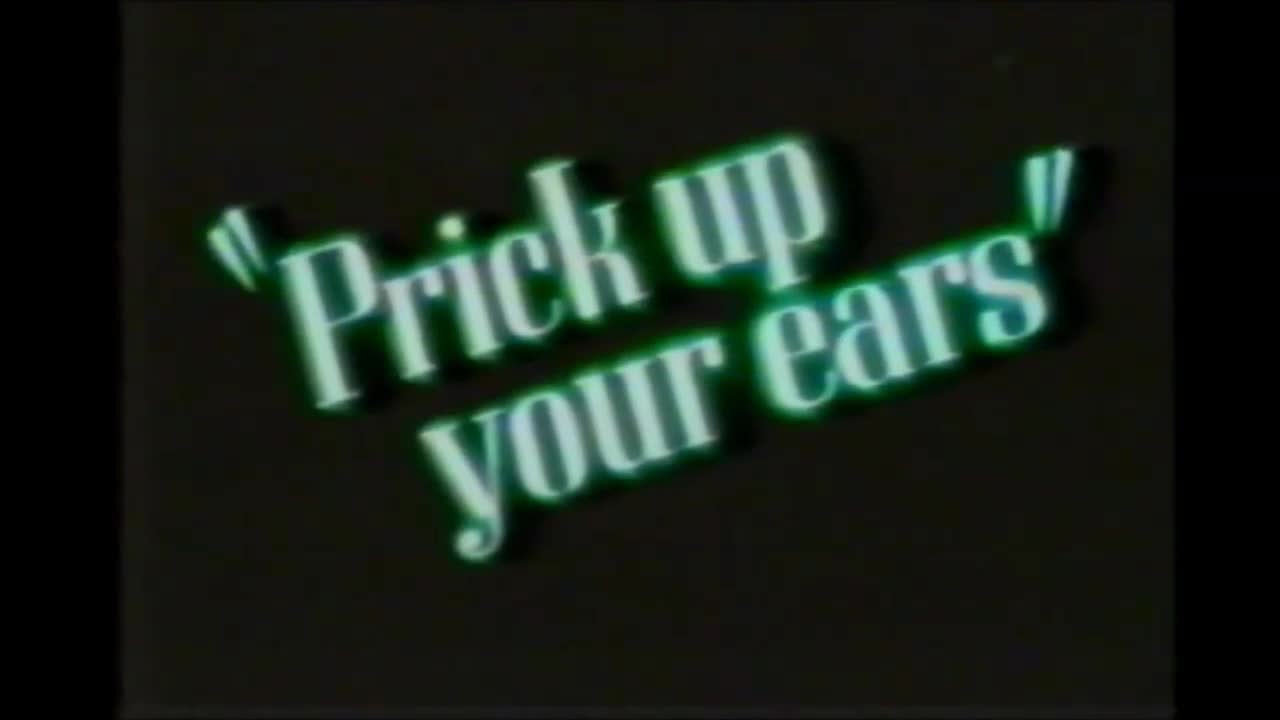 Prick up your ears - VO