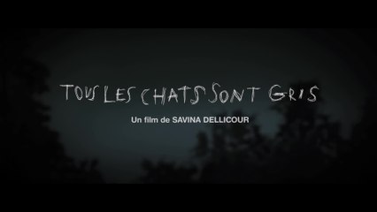 Tous les chats sont gris - VF