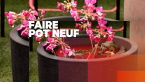 La Maison France 5 - Le pot fait peau neuve - 22 07 16