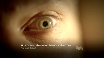 A la poursuite de la chambre d'ambre