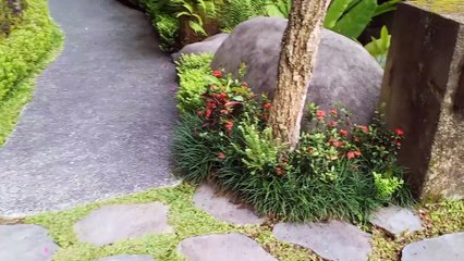 Nuansa dingin daerah ubud sangat asri