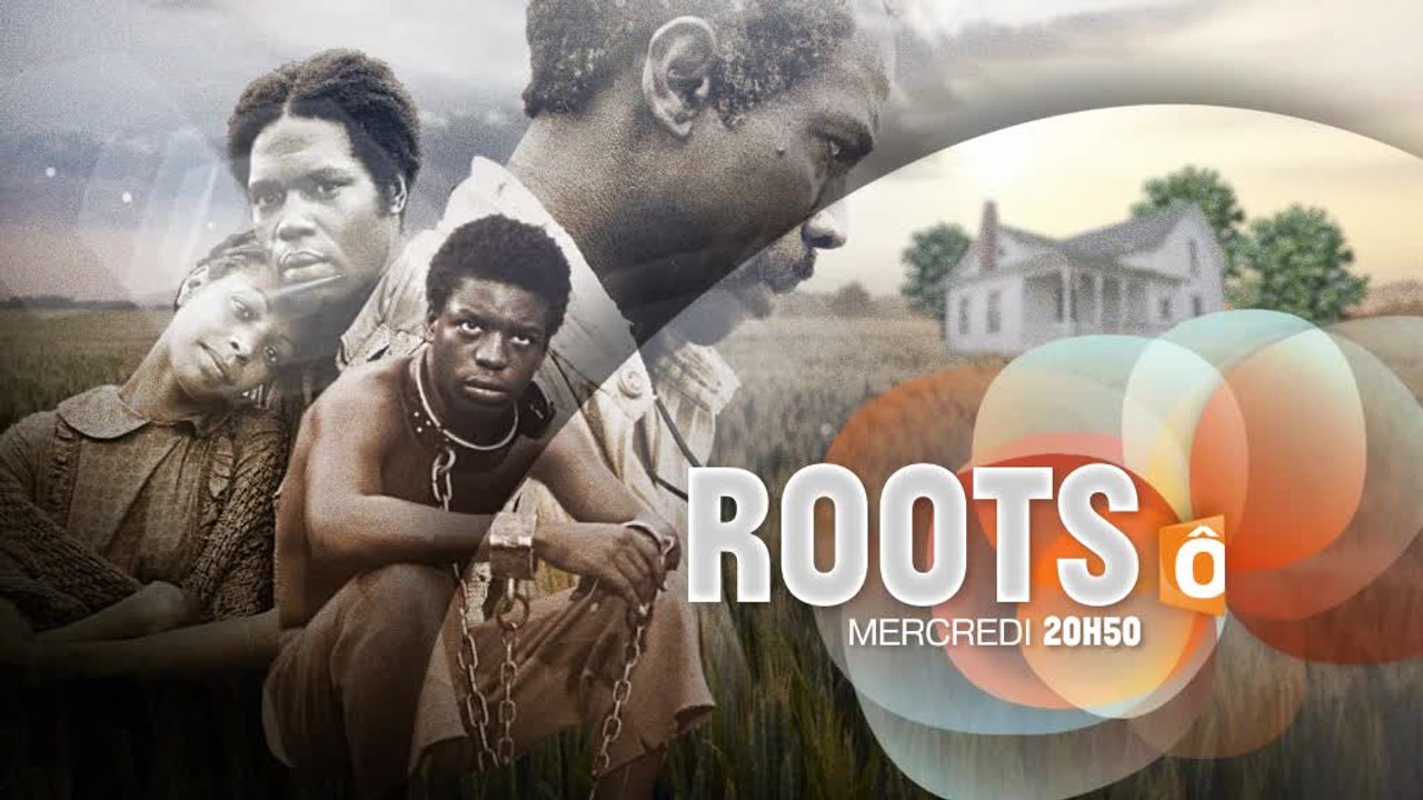 Racines (roots) - 20/07/16