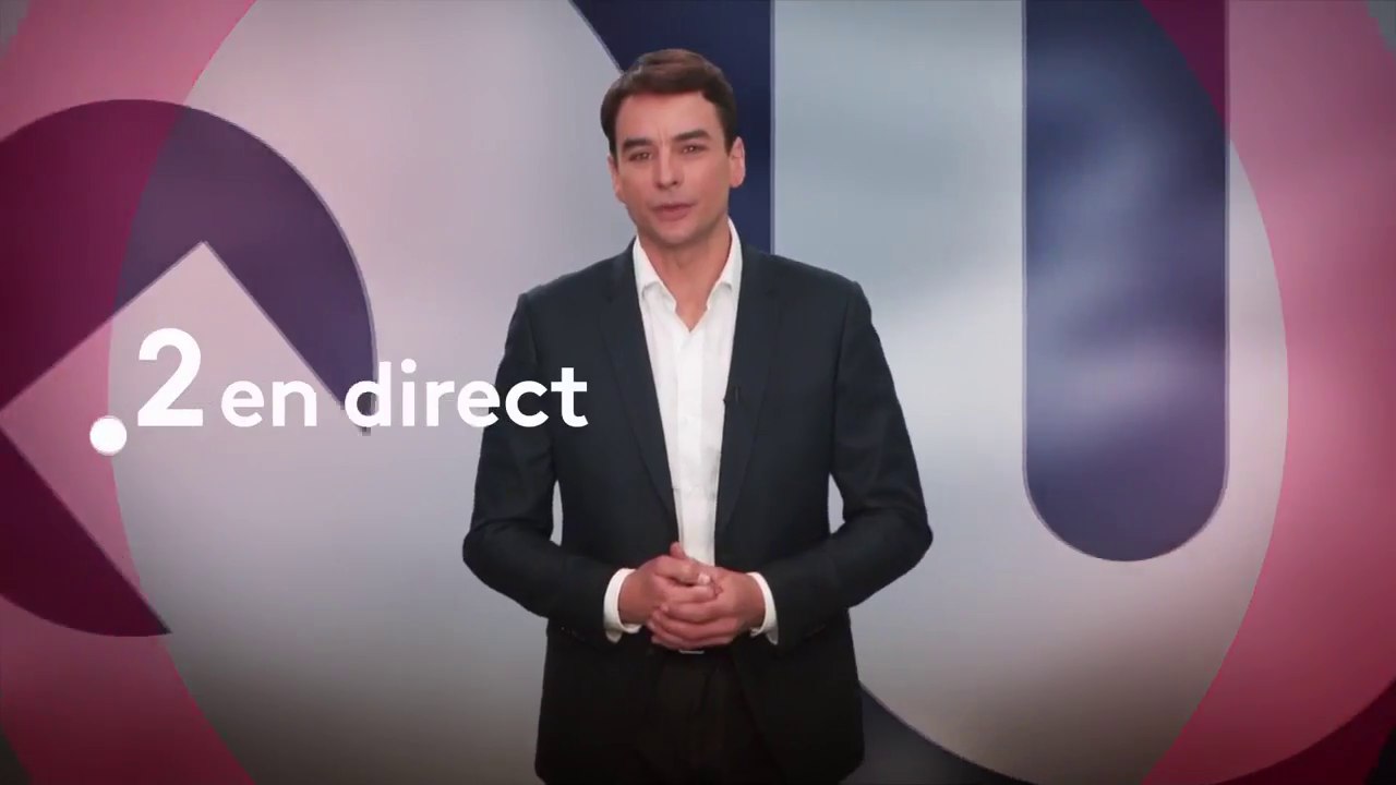 Questions directes - Sexe, travail, éducation - la fin du mâle dominant  - france 2 - 11 04 18