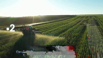 La spéciale d'Envoyé (France 2) : enquête sur le glyphosate