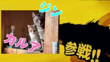 大乱闘！ニャンニャンブラザーズ！Super cats Bros.