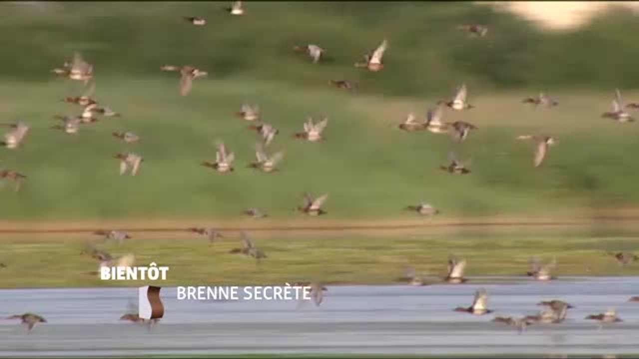 Brenne Secrète - 08/07/16