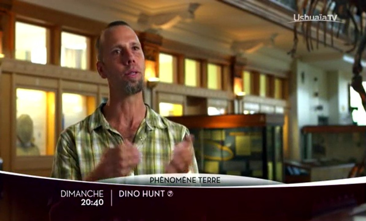 Dino Hunt - 28/05/17